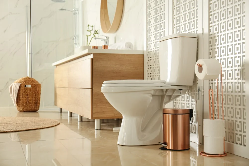 toilet plumbing diagram